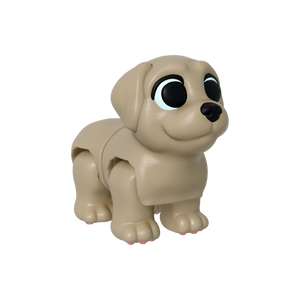 Buddy (Labrador)