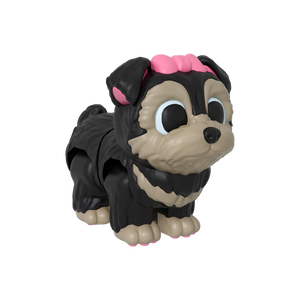 Daisy (Yorkie)
